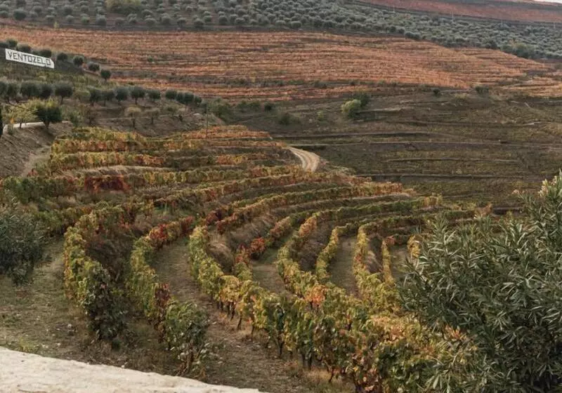 Ventozelo Hotel & Quinta