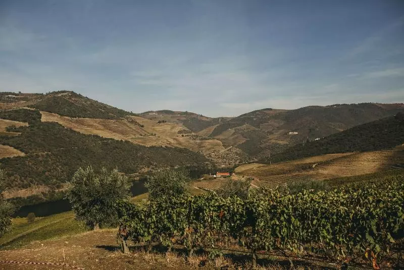 Ventozelo Hotel & Quinta