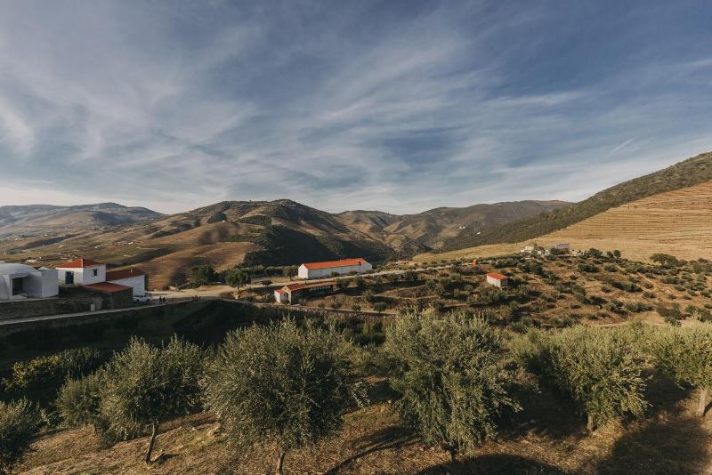 Ventozelo Hotel & Quinta