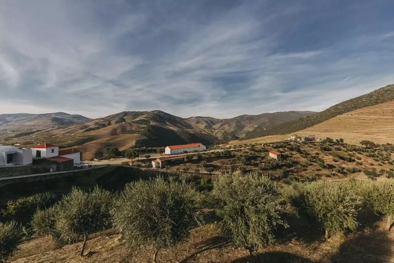 Ventozelo Hotel & Quinta