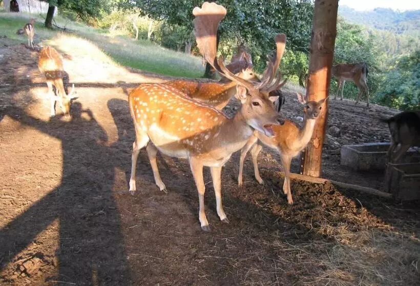 Hotelli Gasthof Siller