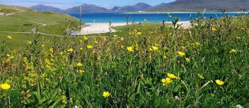 ペンション Riverside