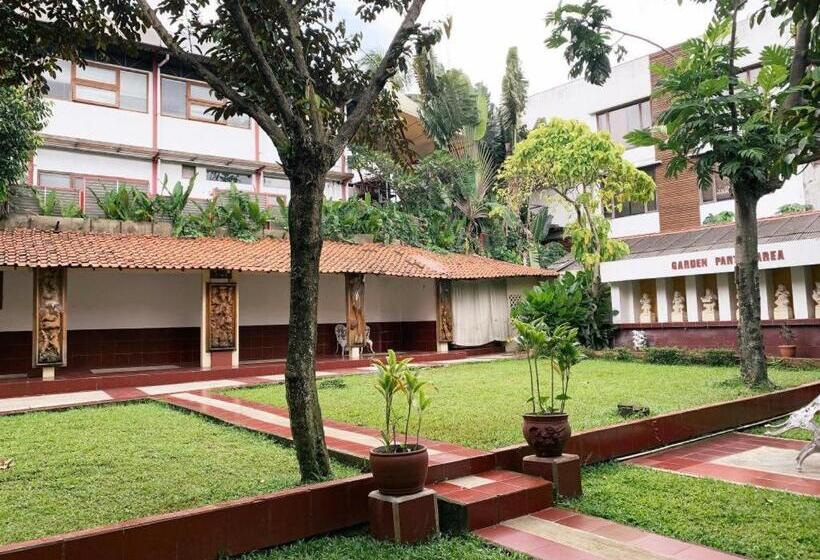 בית מלון כפרי Ririn