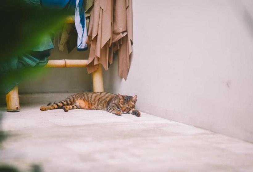 בית מלון כפרי Waterborn Bali