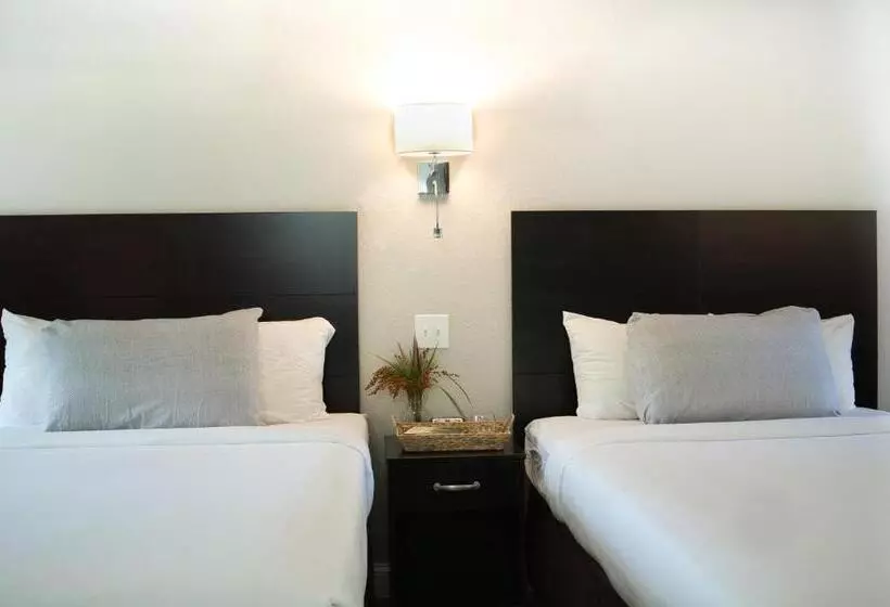 هتل Align Inn Vermont