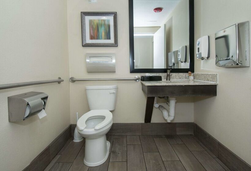 בית מלון כפרי Best Western Plus Downtown North