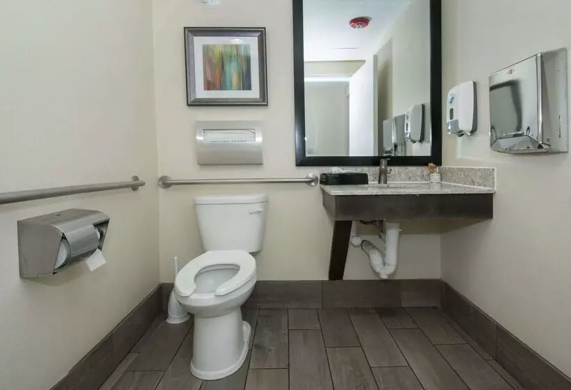 فندق Best Western Plus Downtown North