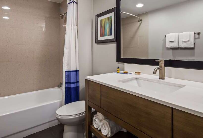 בית מלון כפרי Best Western Plus Downtown North