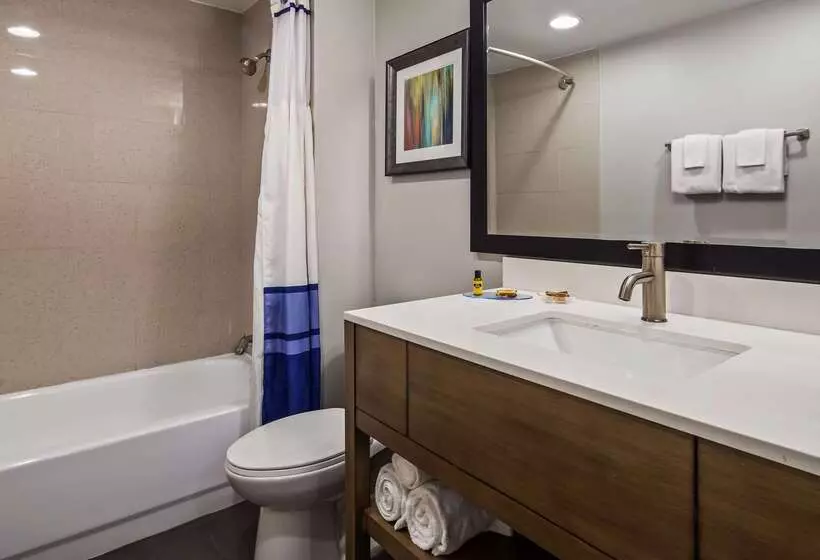 فندق Best Western Plus Downtown North