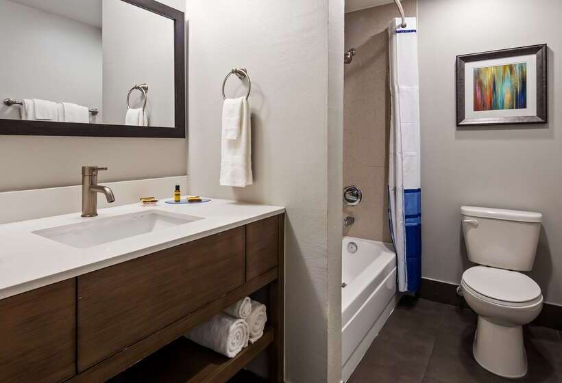 בית מלון כפרי Best Western Plus Downtown North