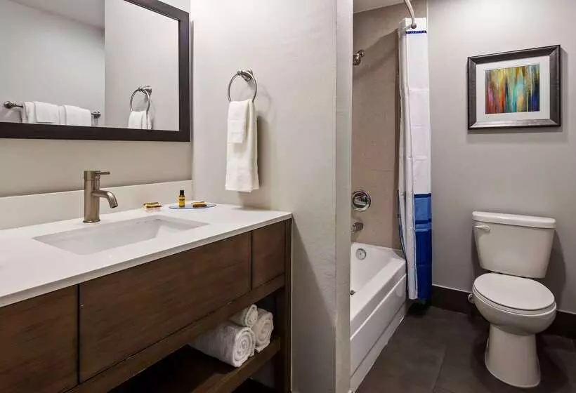 فندق Best Western Plus Downtown North