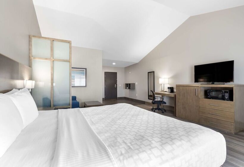 בית מלון כפרי Best Western Plus Downtown North