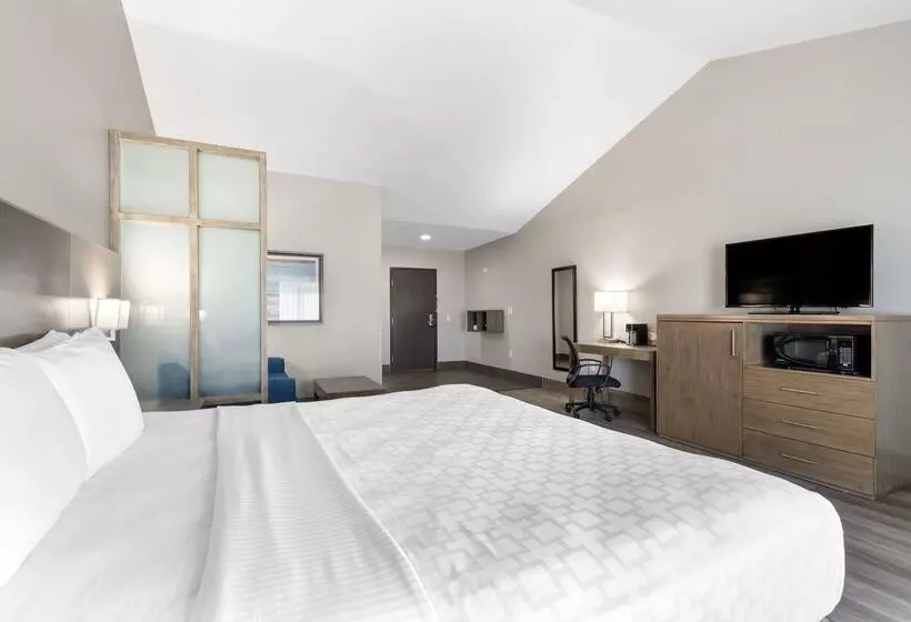 فندق Best Western Plus Downtown North