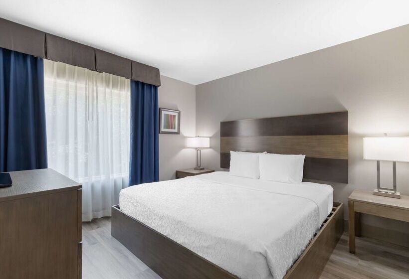 בית מלון כפרי Best Western Plus Downtown North