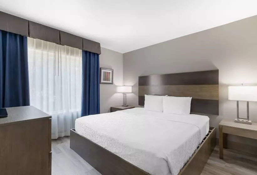 فندق Best Western Plus Downtown North