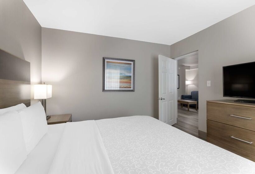 בית מלון כפרי Best Western Plus Downtown North