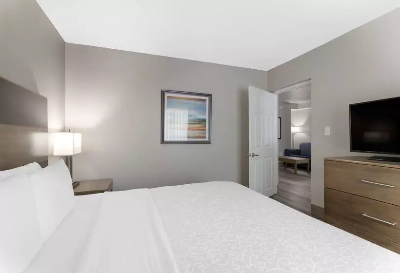 فندق Best Western Plus Downtown North