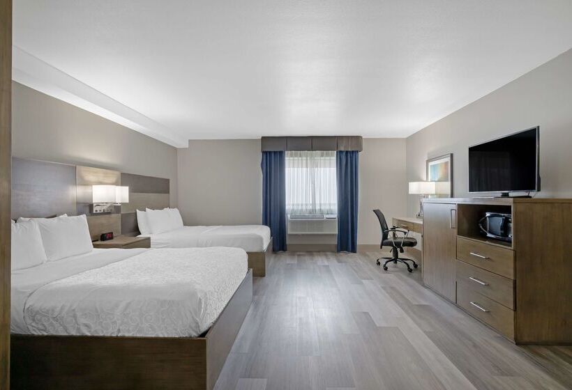 בית מלון כפרי Best Western Plus Downtown North