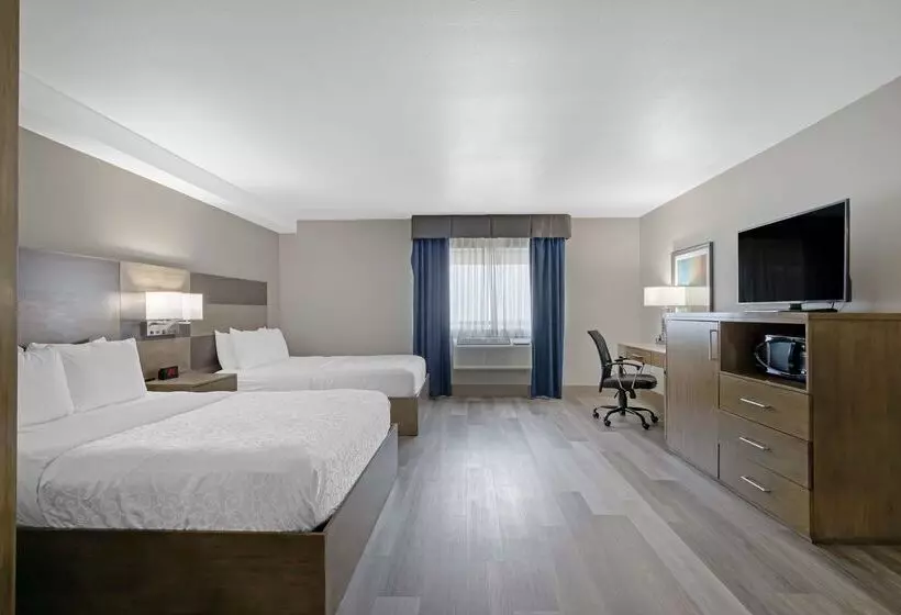 فندق Best Western Plus Downtown North