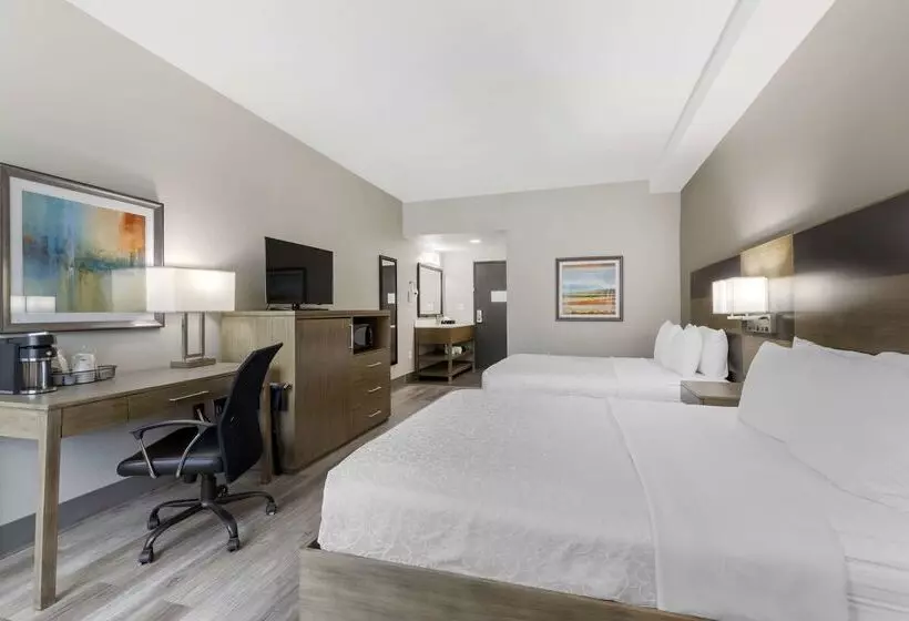 فندق Best Western Plus Downtown North