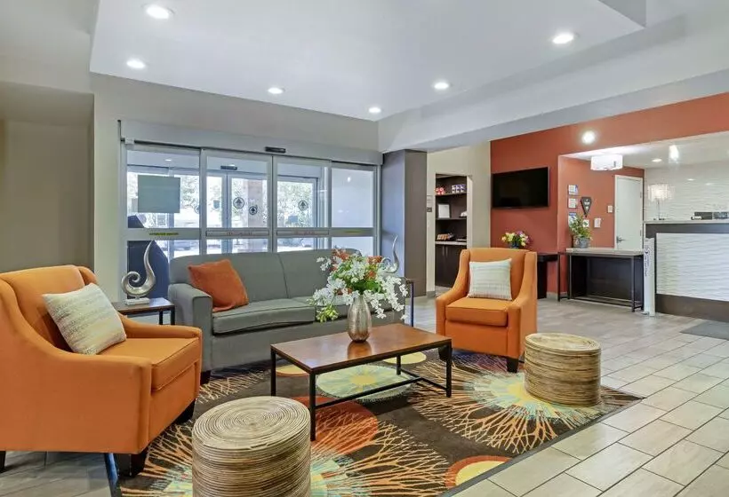 فندق Best Western Plus Downtown North