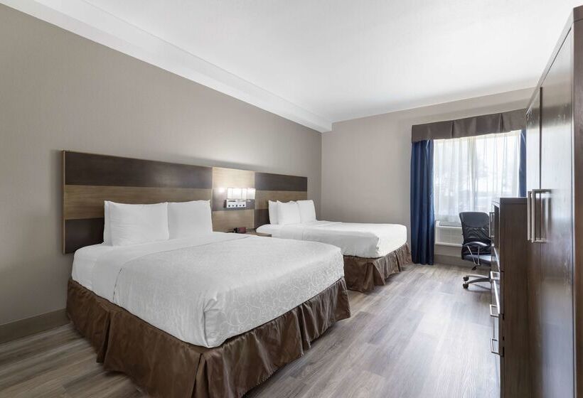 בית מלון כפרי Best Western Plus Downtown North