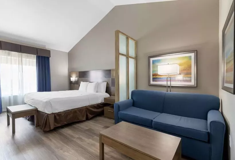 فندق Best Western Plus Downtown North