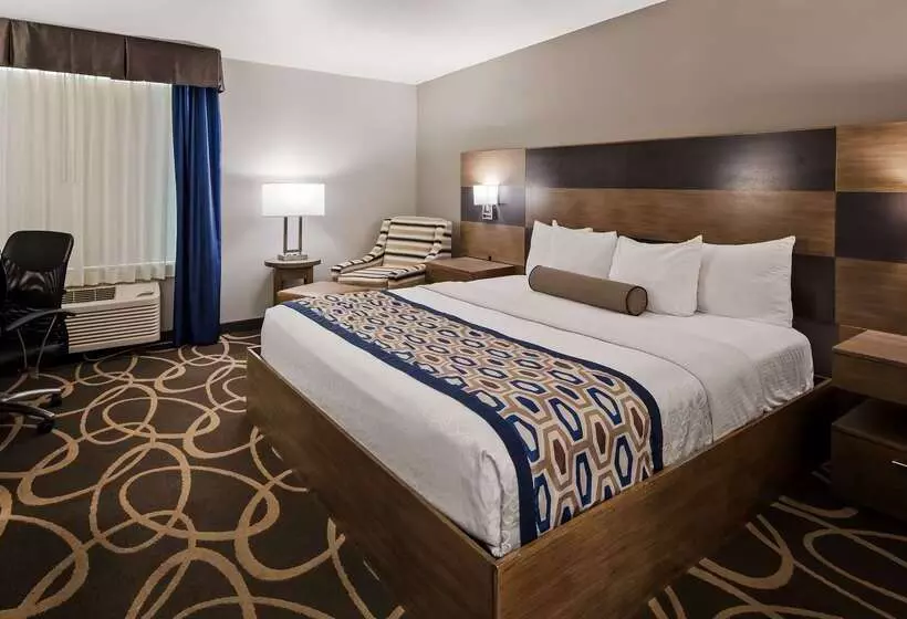 فندق Best Western Plus Downtown North