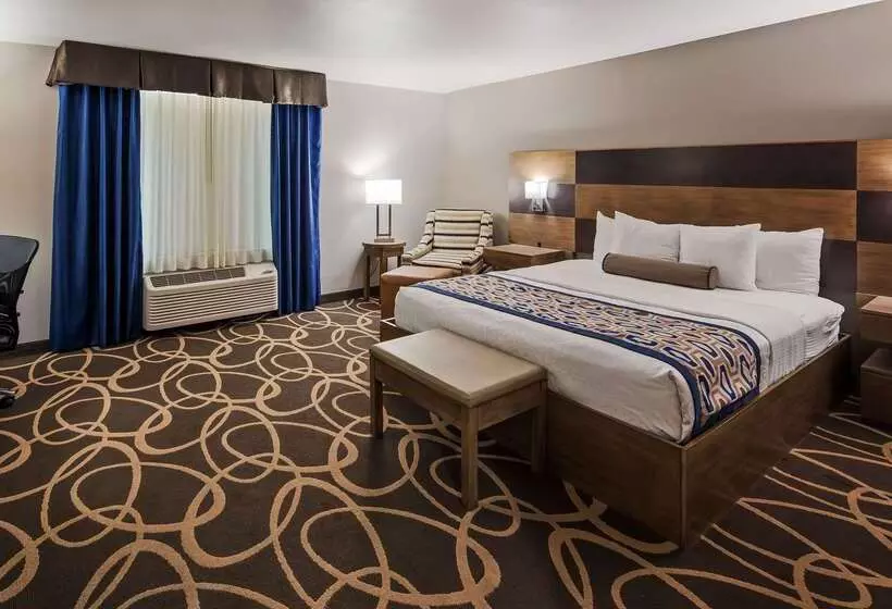 فندق Best Western Plus Downtown North