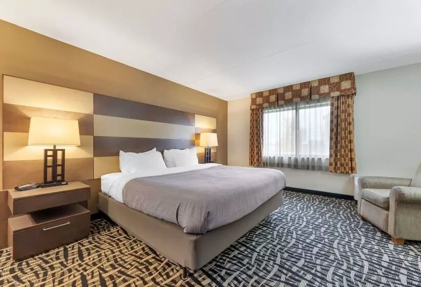 ホテル Quality Inn & Suites Mayo Clinic Area