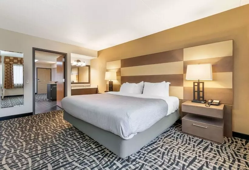 ホテル Quality Inn & Suites Mayo Clinic Area