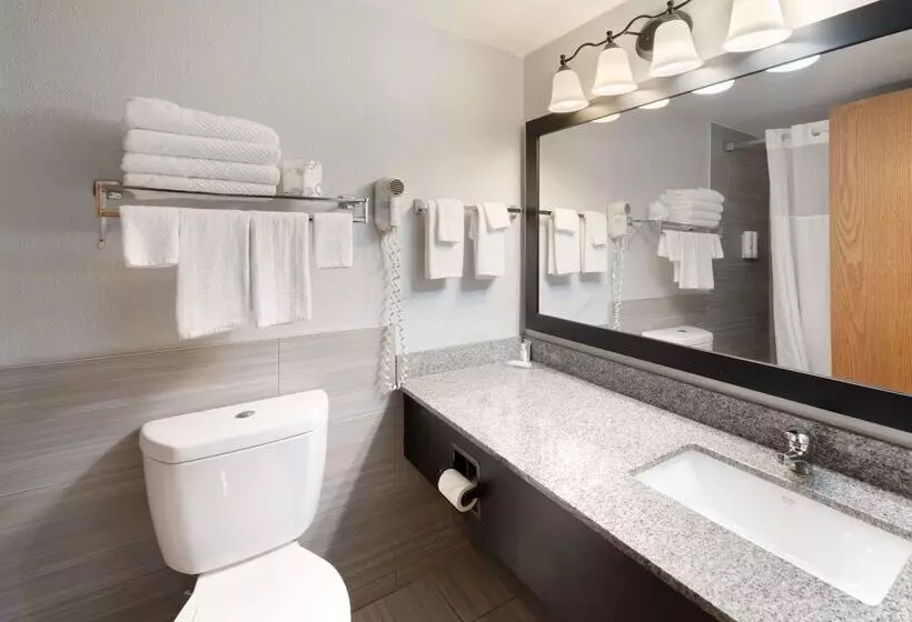 ホテル Quality Inn & Suites Mayo Clinic Area