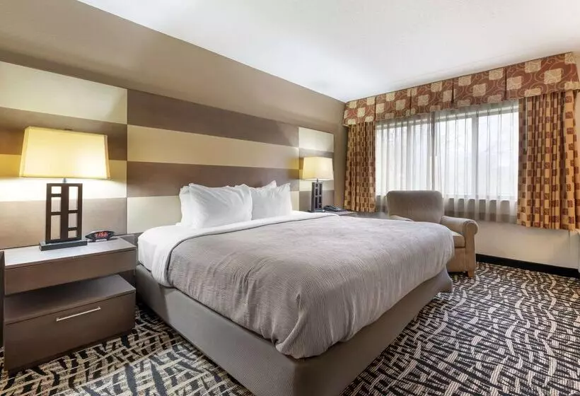 ホテル Quality Inn & Suites Mayo Clinic Area