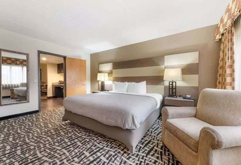 ホテル Quality Inn & Suites Mayo Clinic Area