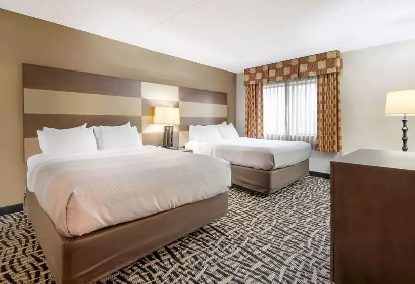 ホテル Quality Inn & Suites Mayo Clinic Area