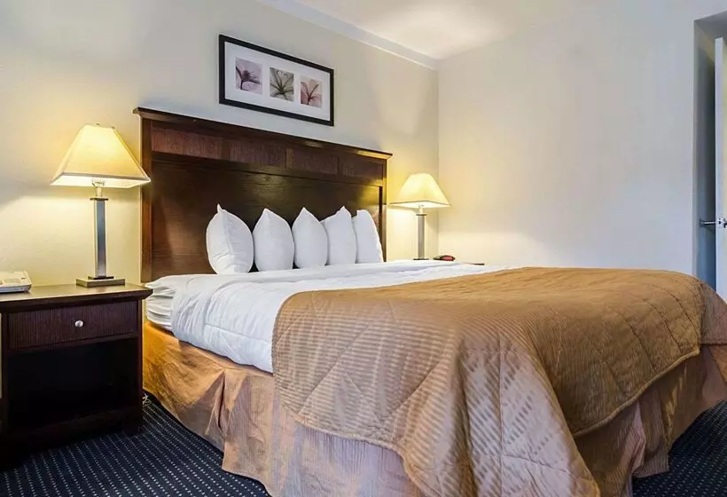 هتل Rodeway Inn & Suites Williamsburg Central