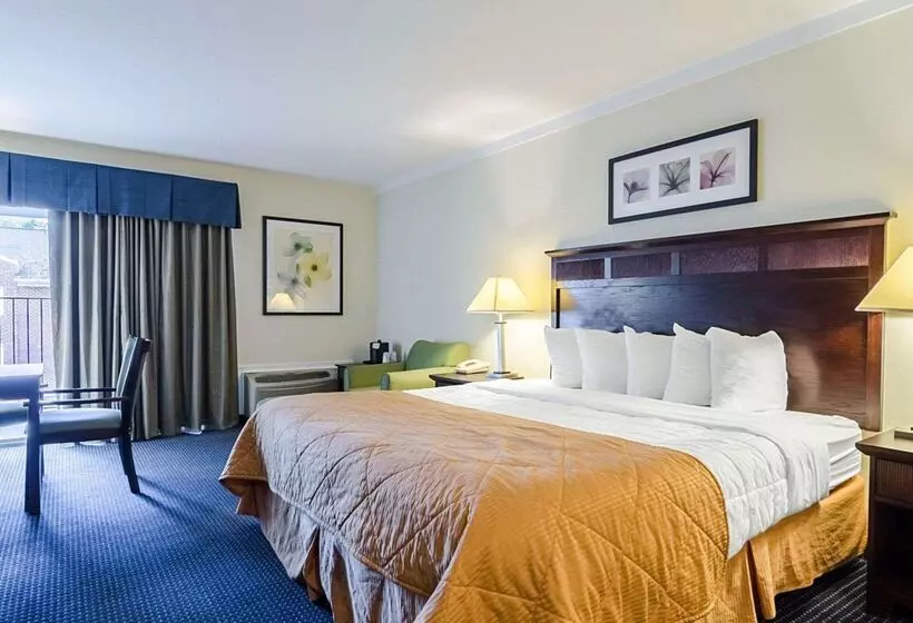هتل Rodeway Inn & Suites Williamsburg Central