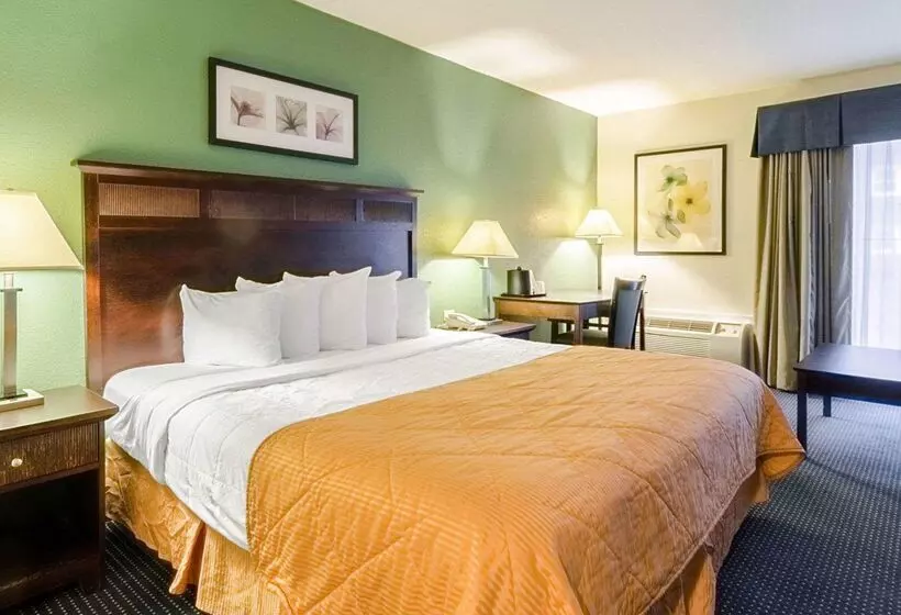 هتل Rodeway Inn & Suites Williamsburg Central