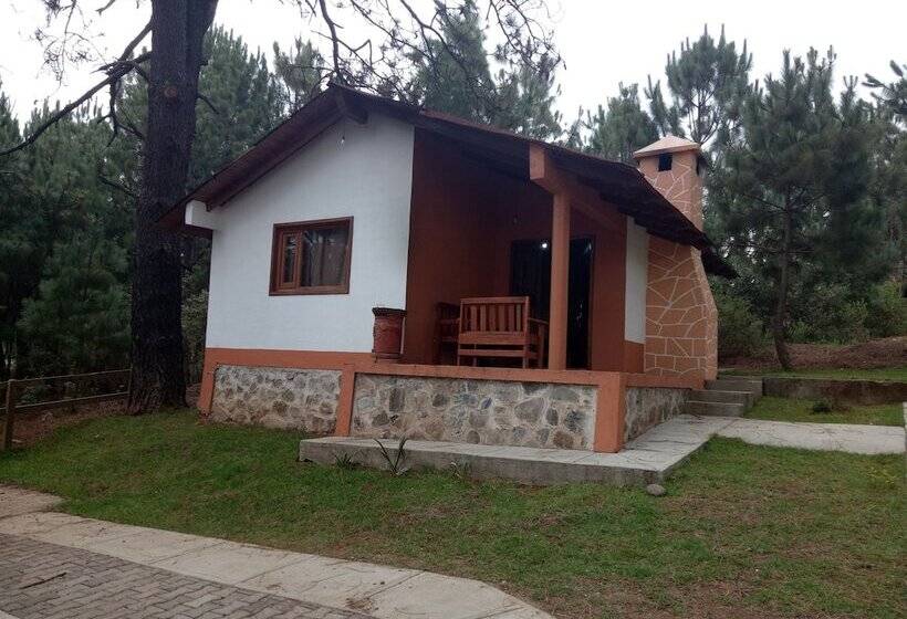 Cabañas Del Bosque