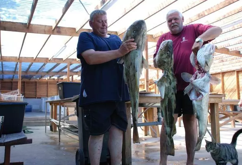 Hotelli Hytteby – Hanstholm Camping – Thy Feriepark