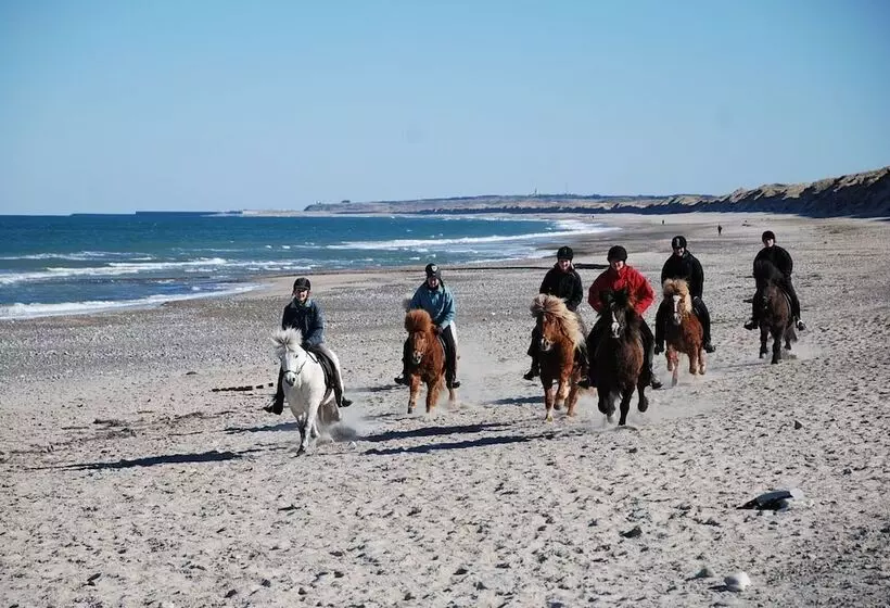 Hotelli Hytteby – Hanstholm Camping – Thy Feriepark