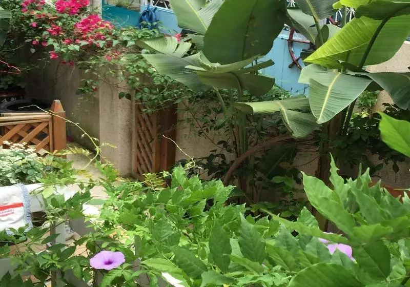 Hotelli Xiamen Dora's House Bed & Breakfast Coast Branch