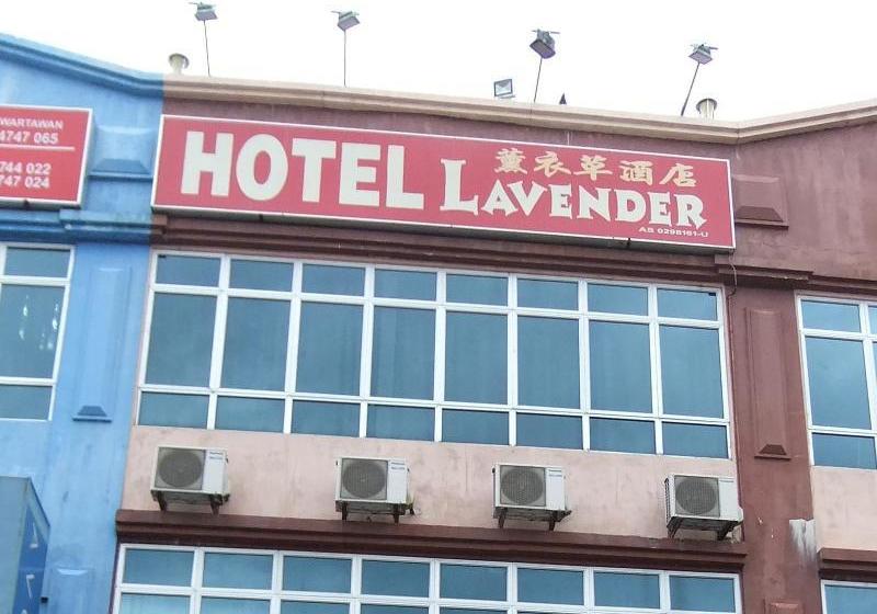 فندق Lavender