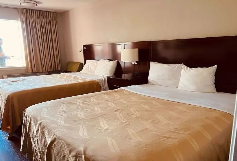 Отель Cambridge Inn