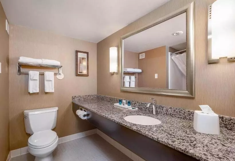 Delta Hotels By Marriott Fargo