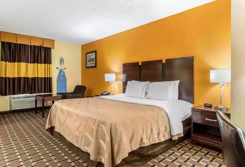 酒店 Quality Inn Grand Rapids Near Downtown