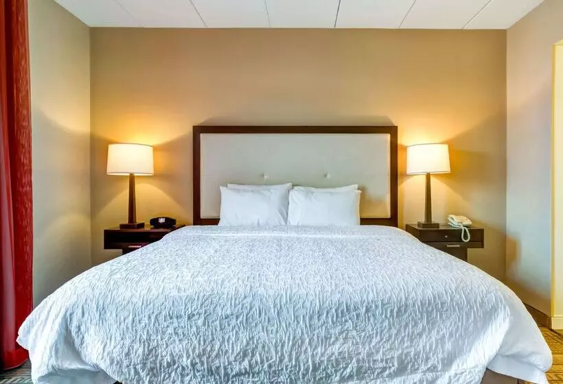 渡假胜地 Hampton Inn Bostonnorwood