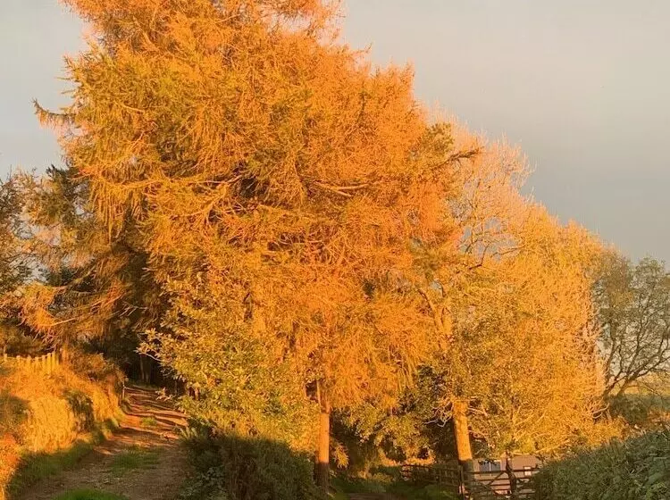 Bryn Eithin Cottage Far From The Madding Crowd