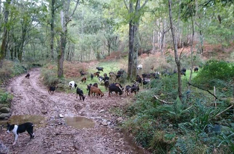 호텔 Posada Restaurante Casa Juanchu