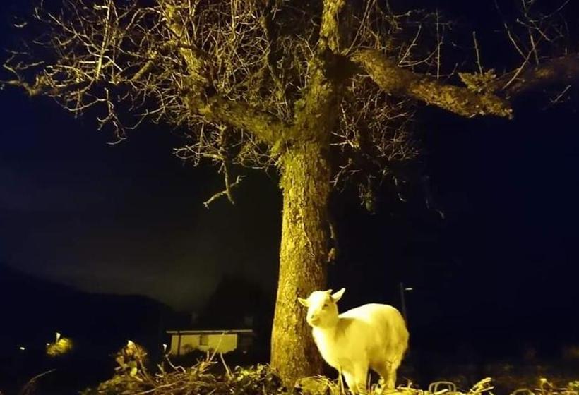 호텔 Posada Restaurante Casa Juanchu